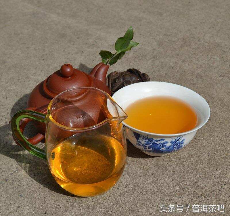 普洱茶的纯料和拼配，你看好哪个？
