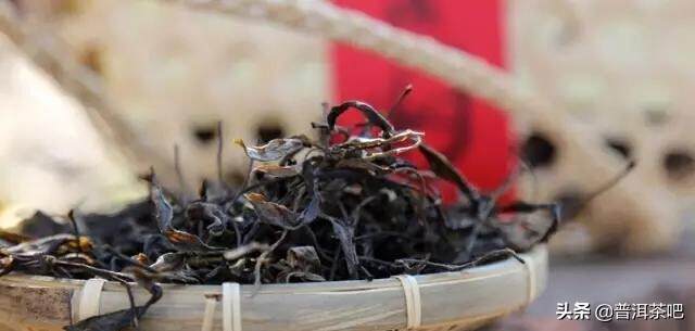 「一山一味」布朗山老曼峨 世界上最古老的种茶村寨