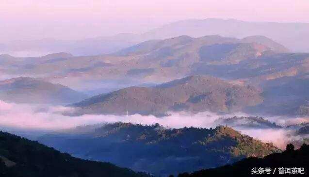 古茶第一村：西双版纳勐海南糯山