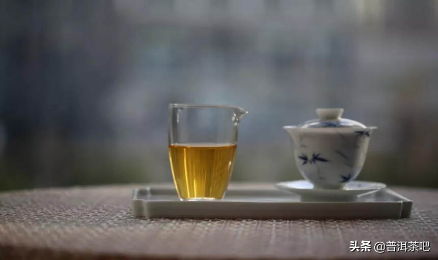 【超高性价比】2020年普洱茶吧春茶珍藏选株古境古树纯料春茶