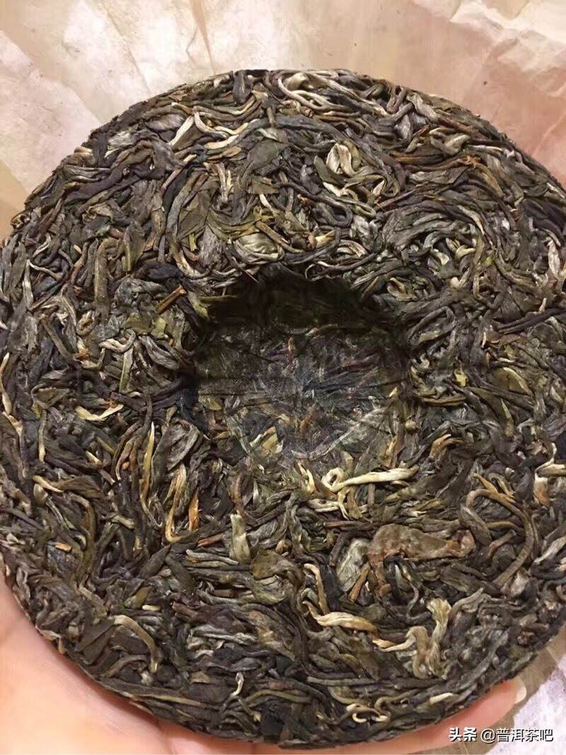 茶图丨易武落水洞的茶树与茶汤