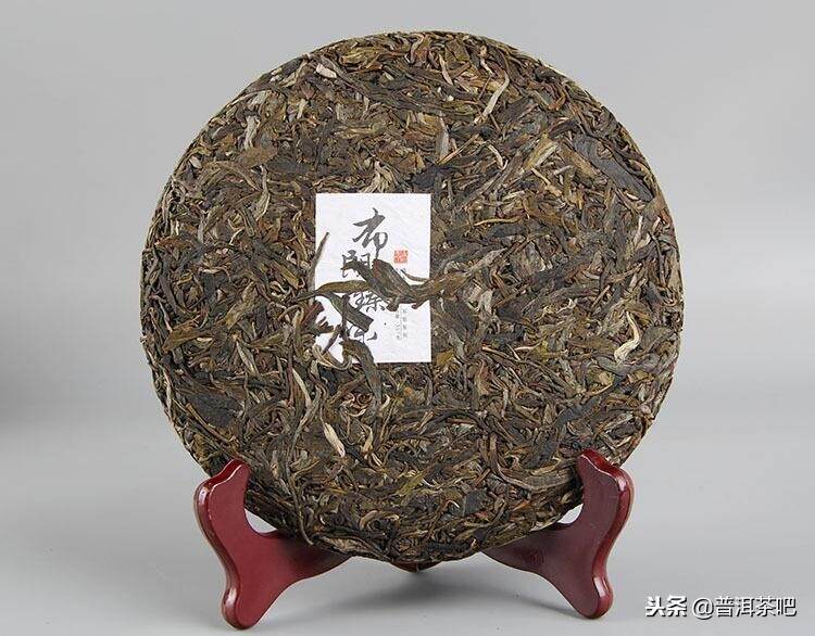 别拿台地茶不当普洱茶，它也是大叶种乔木