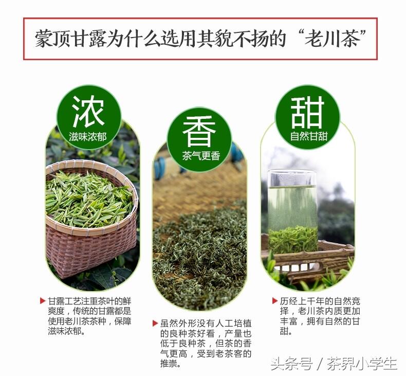 绿茶产地很多，四大茶区代表绿茶有哪些呢？