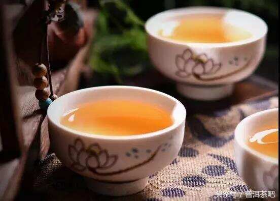 普洱茶的滋味之丨苦味与涩味