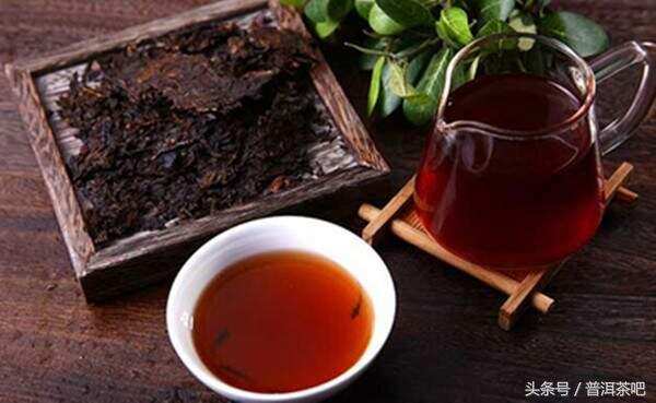 为什么你见到的普洱老生茶，很少有散的？