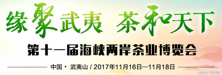 11月15日，第十一届海峡两岸茶业博览会在武夷山开幕！