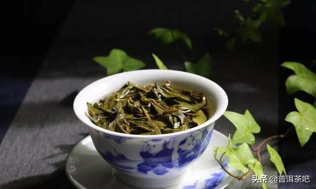 【干货分享】品饮普洱茶在春夏秋冬四个季节中变化