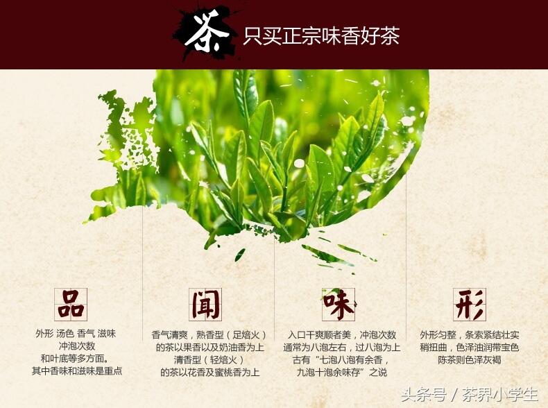红茶产地（1）——福建闽红（代表茶：正山小种）