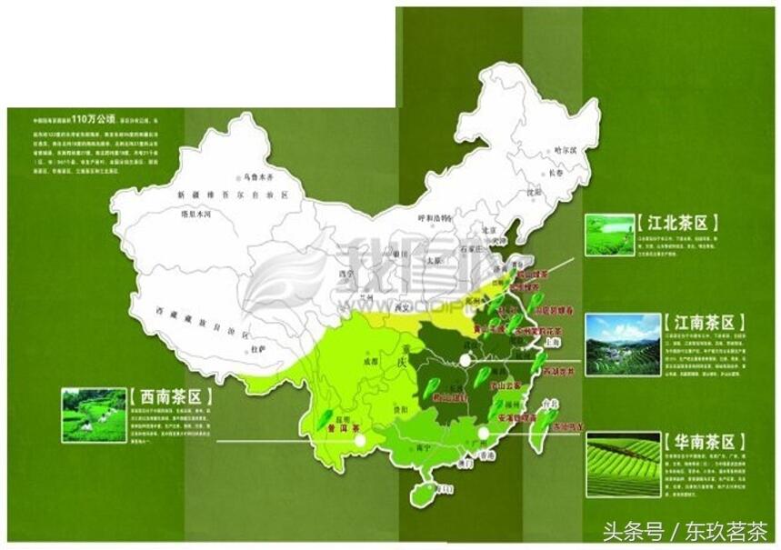 茶树种植和茶产业流程