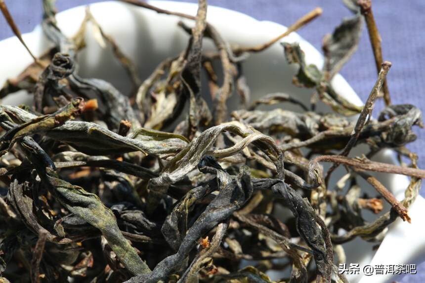 在新茶阶段，如何鉴别普洱茶的品质？