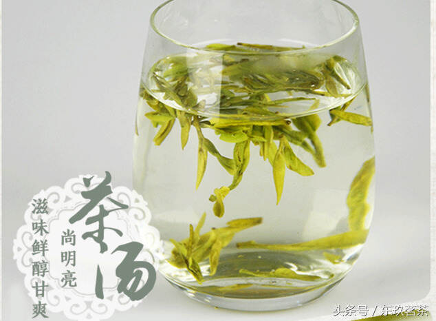茶中珍品25——西湖龙井（3分钟了解龙井茶产区、特点）