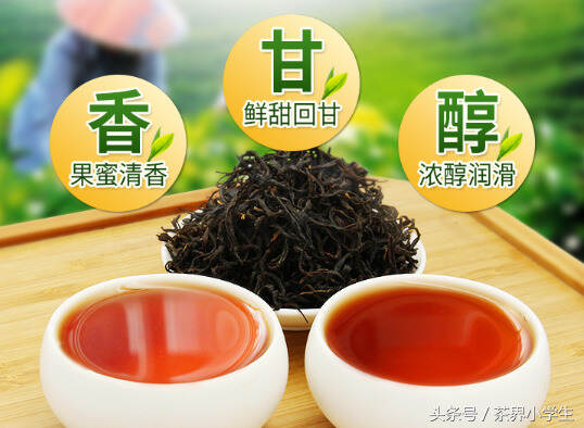 红茶产地（13）——海南红茶（代表茶：五指山红茶）