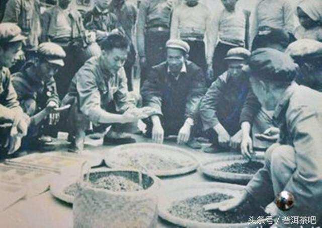 中茶勐海茶厂分厂: 被世人遗忘的云南第一个现代化茶厂