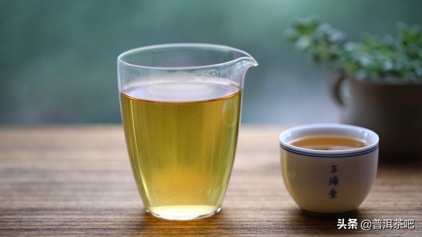 茶汤浑浊的都不是好的普洱茶？
