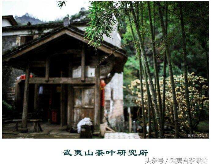 中国第一个茶叶科学研究所——武夷山茶科所（图文）