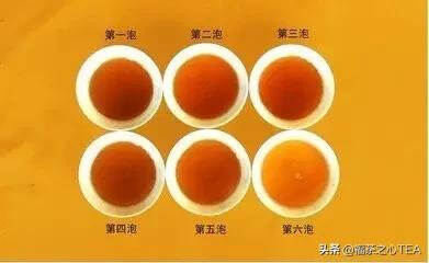 姚月明：形成武夷岩茶品质特征的相关因子
