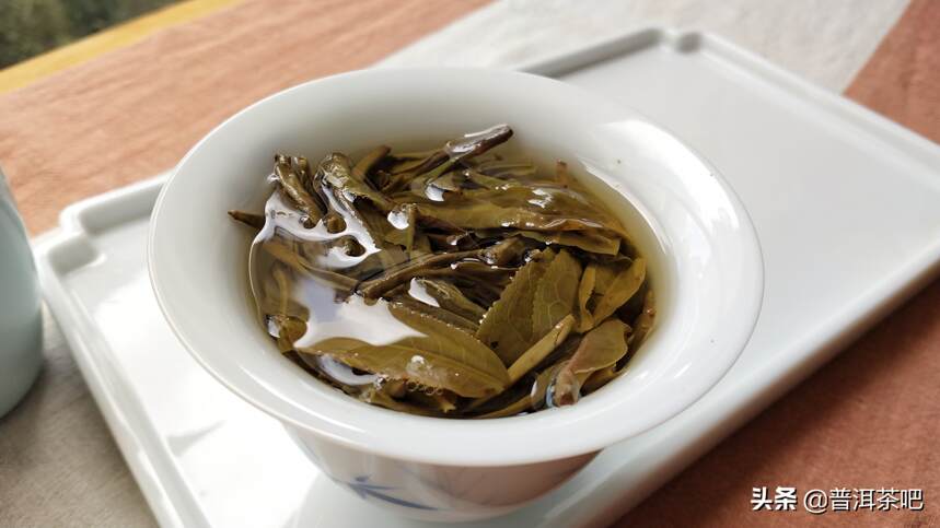 ‖如何看普洱茶的叶底来辨别普洱茶的品质？