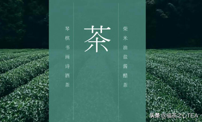 蓬勃发展的中国茶，带给世界清香也回馈大自然一片绿色
