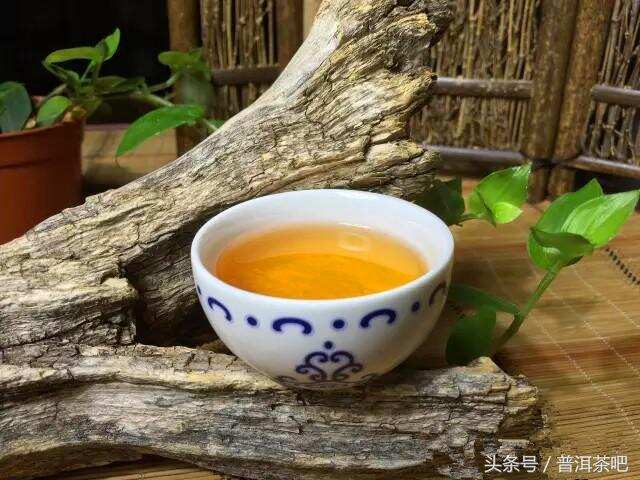 寻找临沧、勐海和易武普洱生茶中的韵级茶