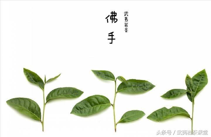 武夷岩茶品种茶传记：幽幽雪梨香，淡淡禅茶味