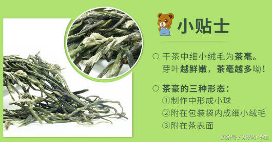 中国十大名茶（2）——信阳毛尖（产自河南信阳，绿茶类）