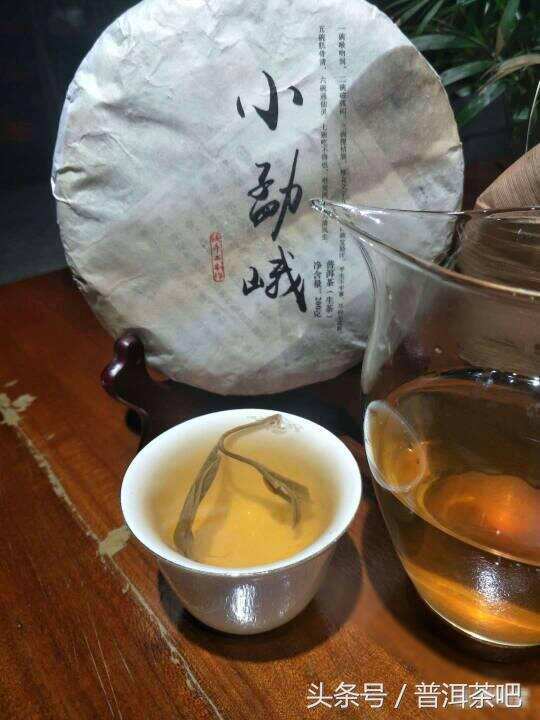 云南双江除了勐库茶，还有个小勐峨您知道吗？