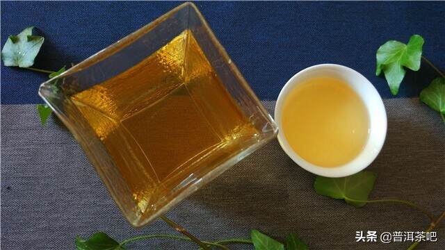 如何通过品饮判别普洱新茶的品质？
