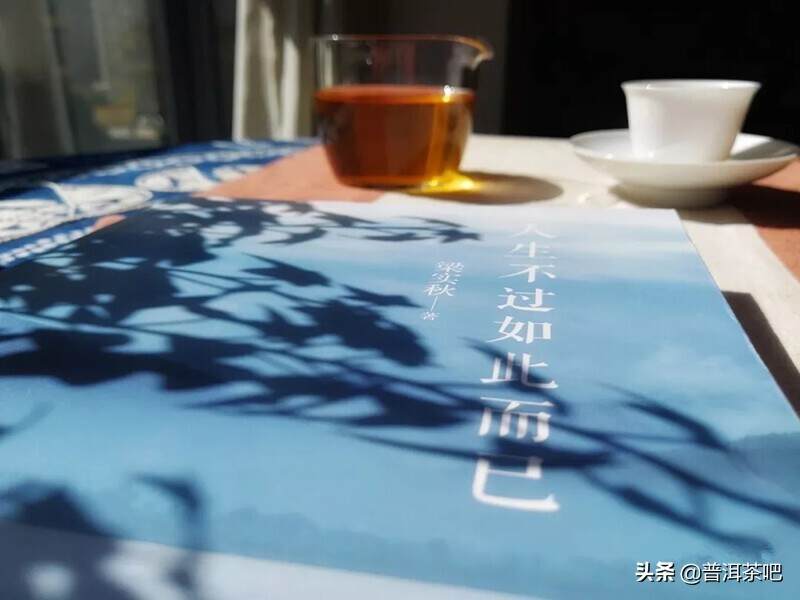 美好而又欢乐的夏日时光，由一本书，一杯普洱茶开始