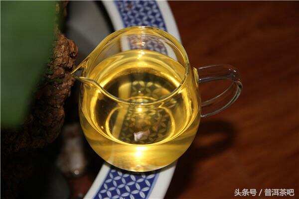 一篇文了解普洱茶的八种原料