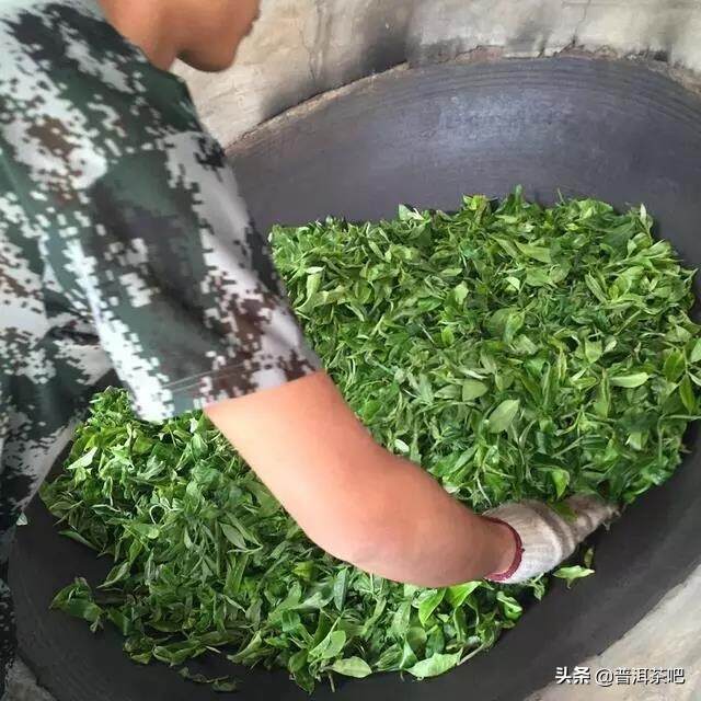 湖南黑茶和云南普洱茶制程工艺对比