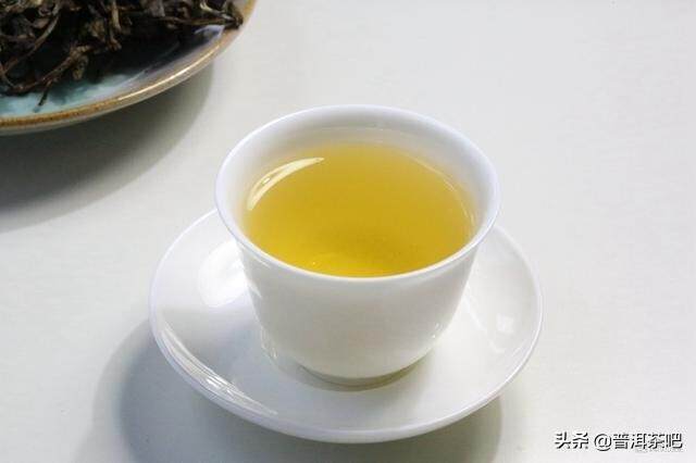 【答疑解惑】​关于普洱茶的清凉感，你知道多少？