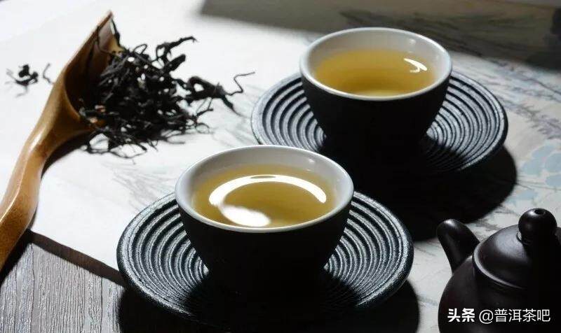 「干货分享」关于古树茶和台地茶，你需要的知识全在这里了