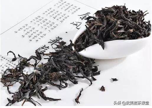 武夷岩茶品种茶传记：南方有佳木，百年蔚成林