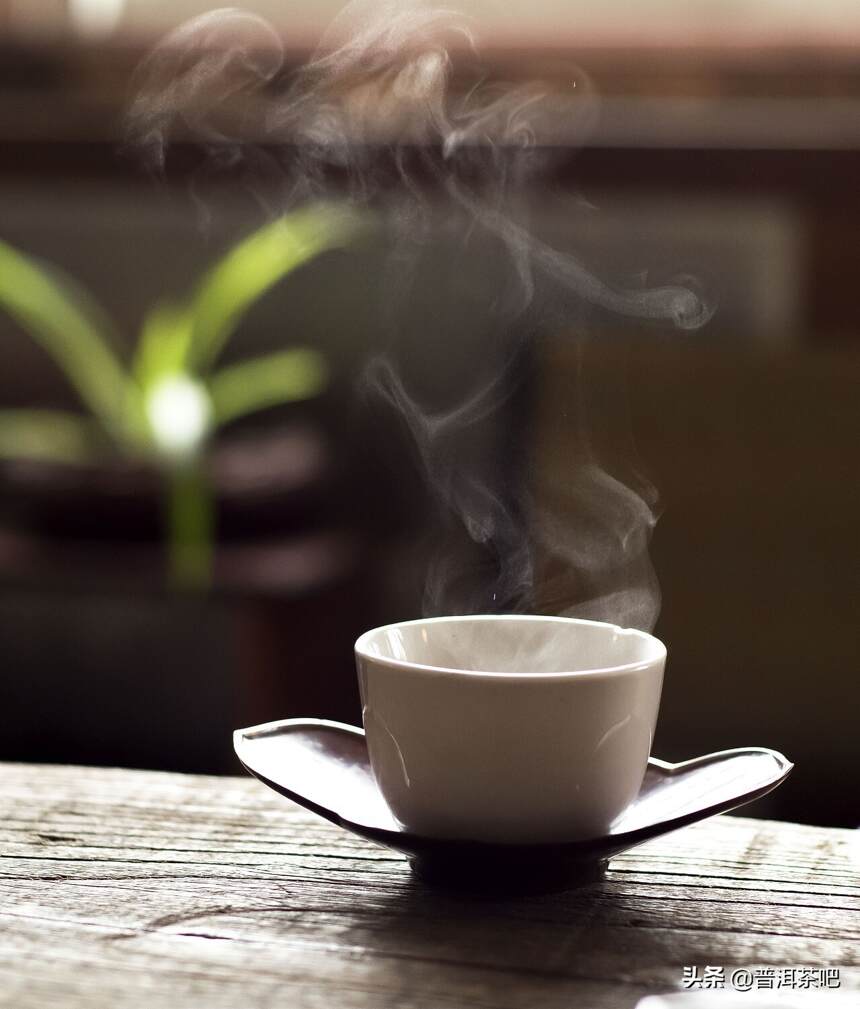 「史上最全」从普洱茶新生茶茶汤里辨析茶叶品质