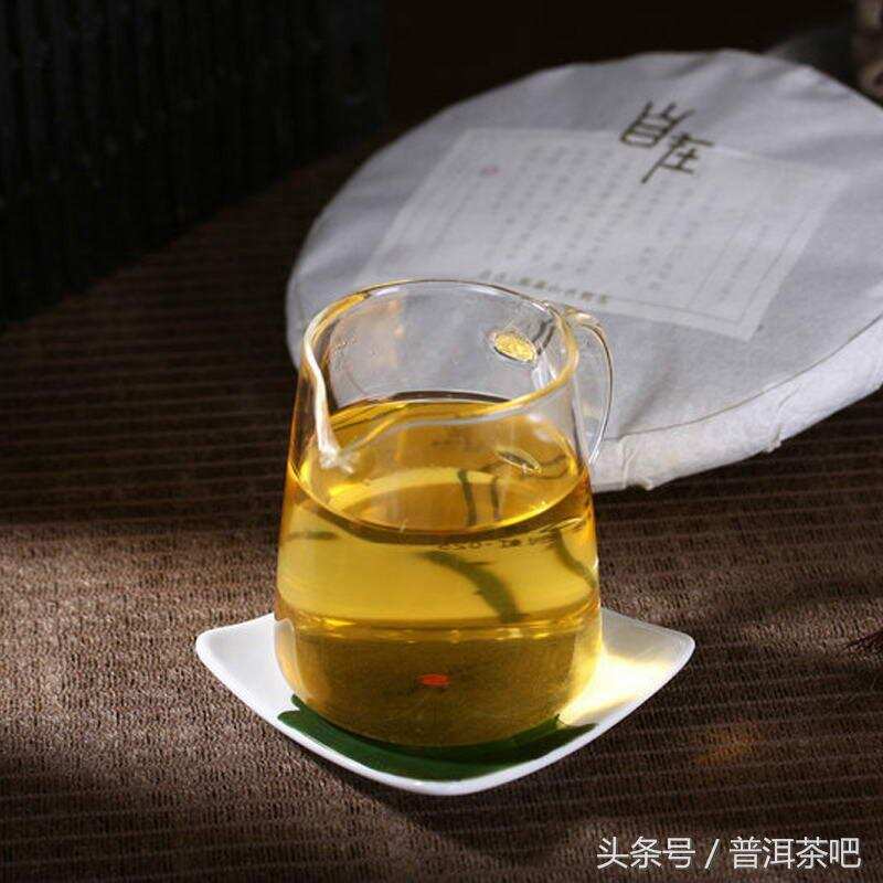 云南普洱市的八大古茶山分布情况