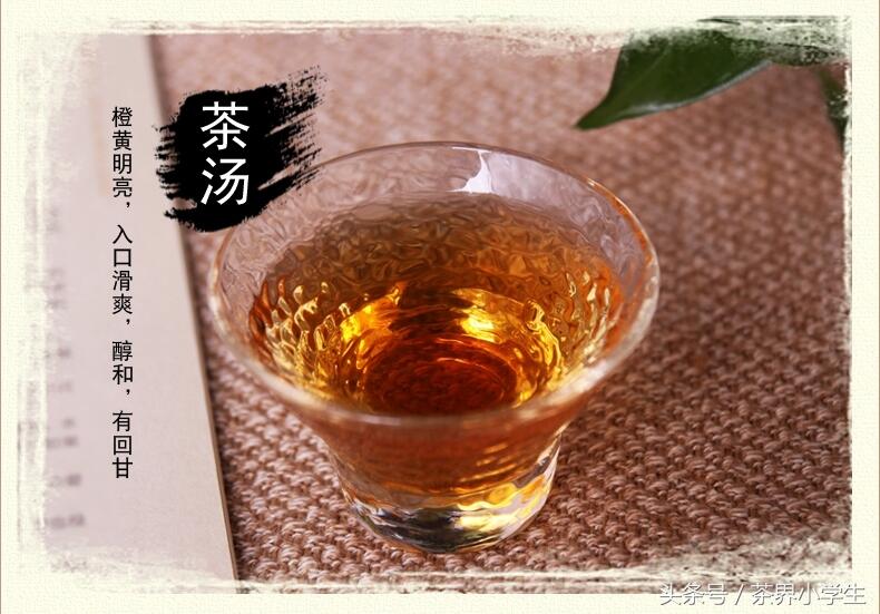 黑茶产地（2）——广西梧州六堡茶（特点为“红、浓、醇、陈”）
