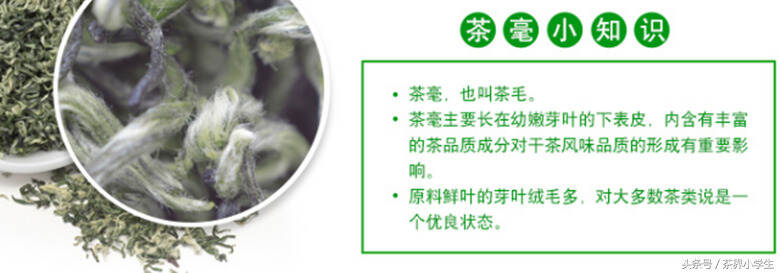 中国十大名茶（10）——都匀毛尖（产自贵州都匀，绿茶类）