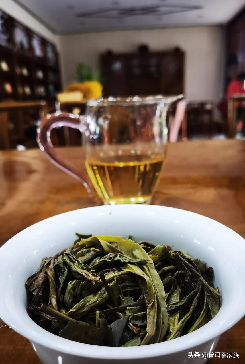 提起古树茶，该如何辨别古树茶
