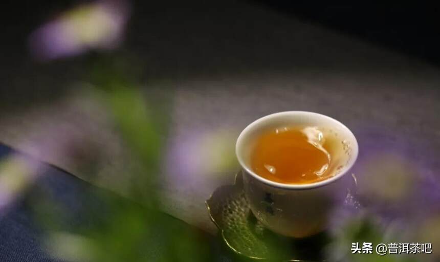 「干货分享」详解野生茶和野放茶的区别和联系