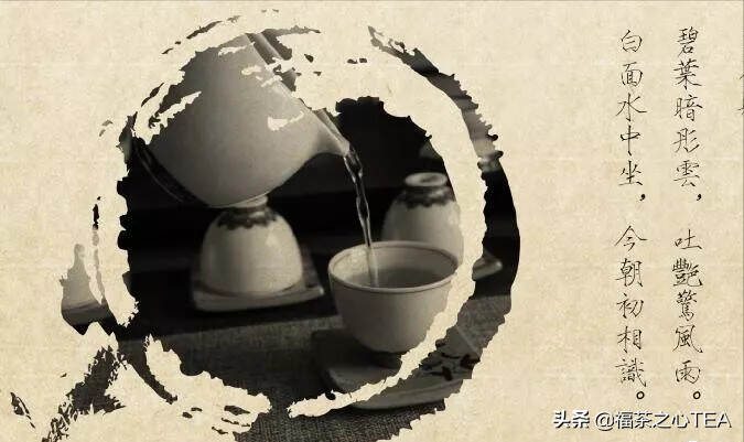 为什么说中国白茶在福鼎？