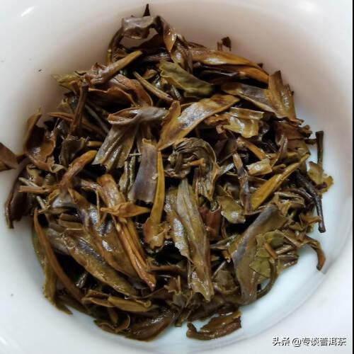勐库戎氏乔木茶为什么这么受欢迎？