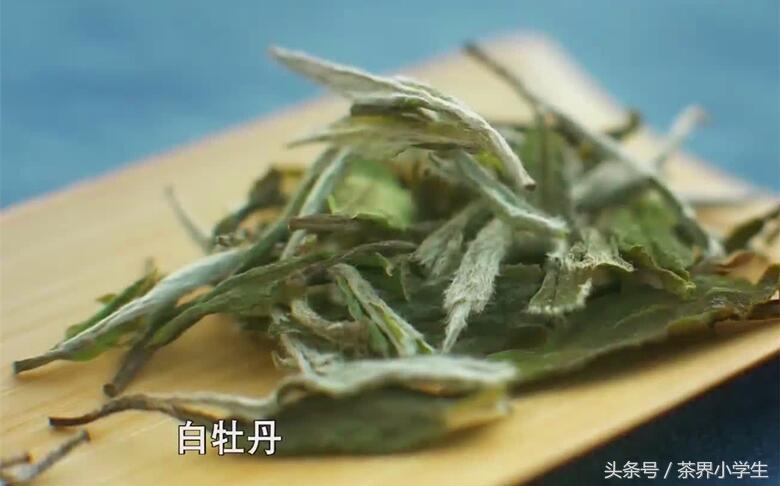 中国白茶在福鼎，福鼎白茶4大类：白毫银针、白牡丹、贡眉和寿眉