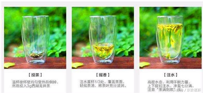 绿茶的3种冲泡方法——上投法、中投法和下投法