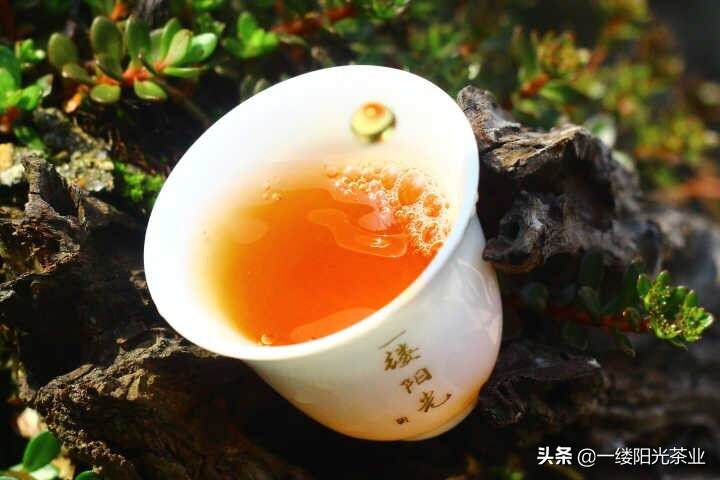 为什么武夷岩茶中肉桂比大红袍风头更盛？