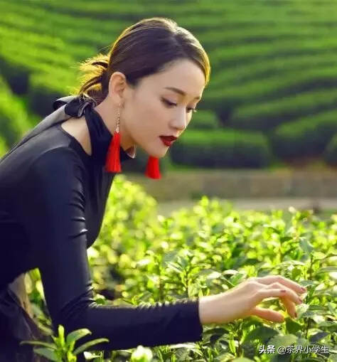 喜茶、乐乐茶、竹叶青掀起军备竞赛。2020年茶行业走向何方？