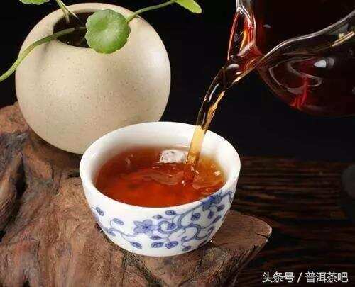 普洱，中国茶的逆品牌