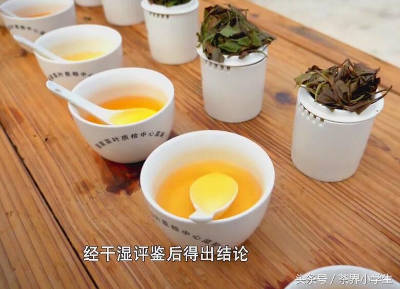 吴晓波、孙冕向白茶老师傅讨茶喝，并学习茶叶感官五项审评法
