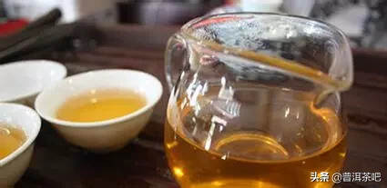 是什么因素决定普洱茶苦涩强度的？