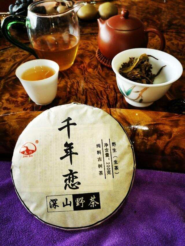 普洱茶叶一片东方神奇的树叶，中国百姓健康、普通的饮料