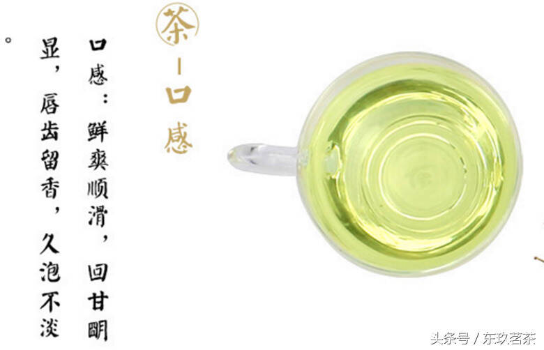 茶中珍品45——婺源绿茶（国家地理标志好茶，源自江西婺源）
